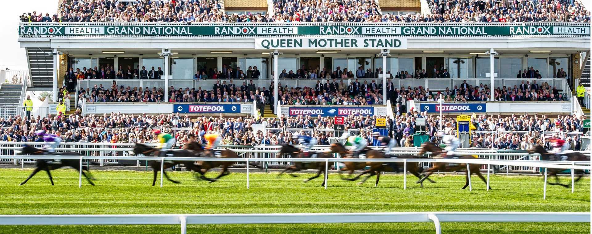 Horses Racing past the crowds in the stands