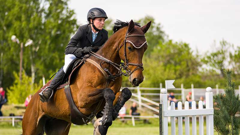A jocket on horseback jumping a fence at an equestrian event